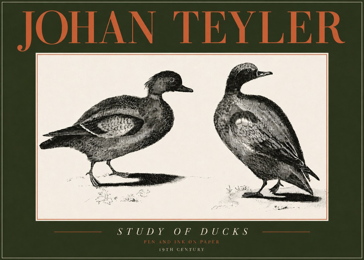 Johan Teyler Study of Ducks No4 - Poszter