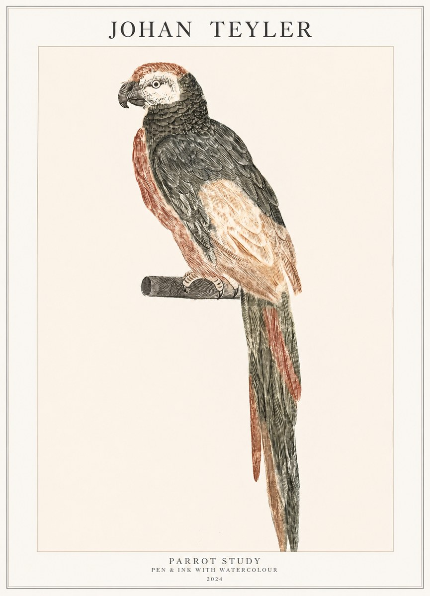 Johan Teyler Parrot Study II No1 - Poszter