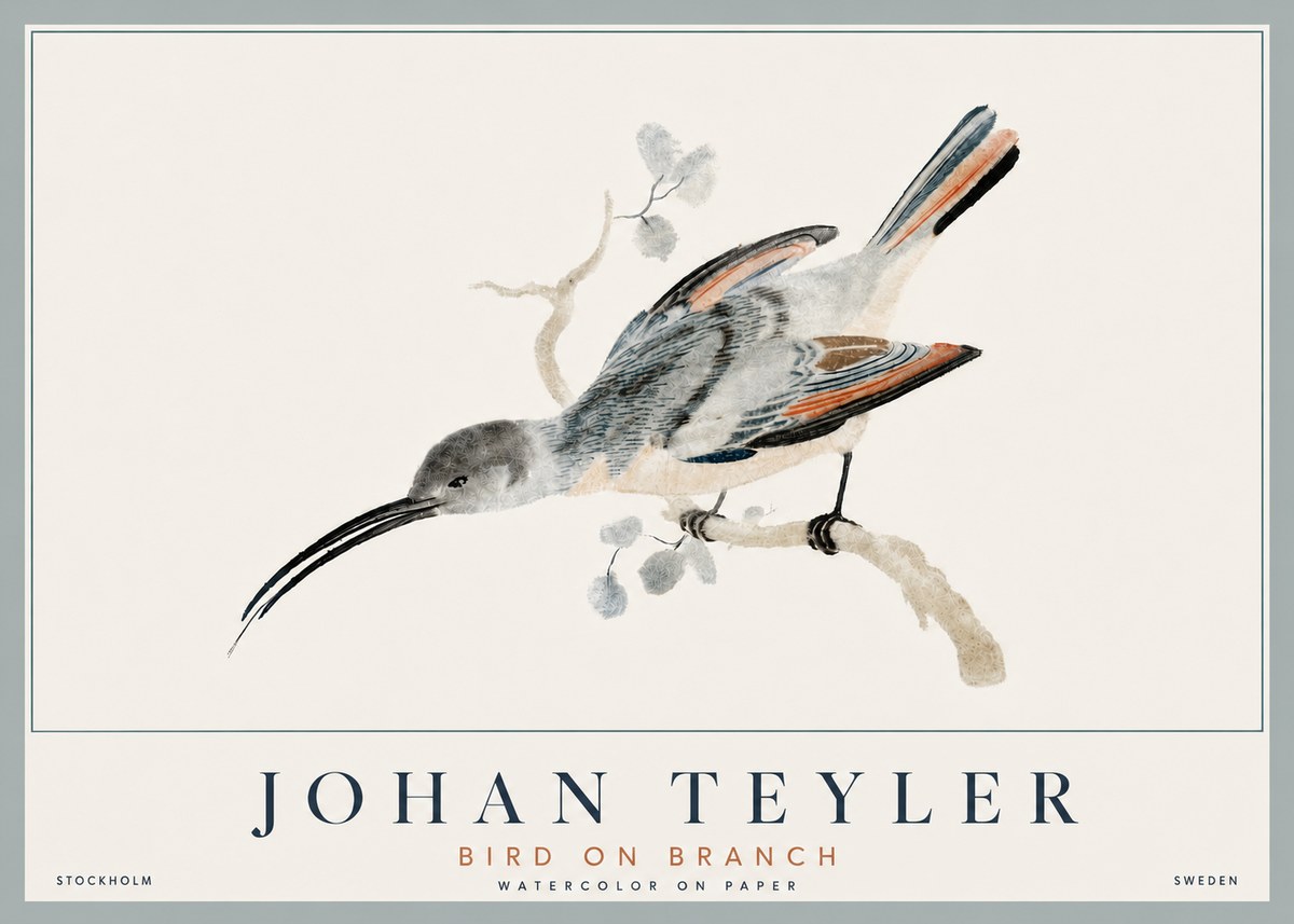 Johan Teyler Bird on Branch I No6 - Poszter