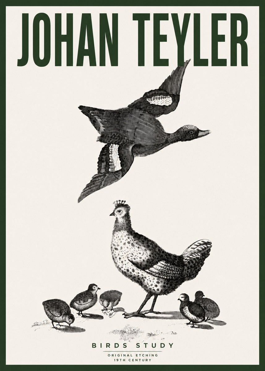 Johan Teyler Birds Study No4 - Poszter