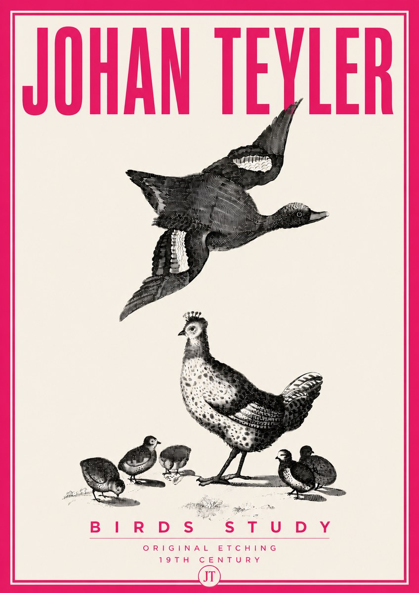 Johan Teyler Birds Study No6 - Poszter