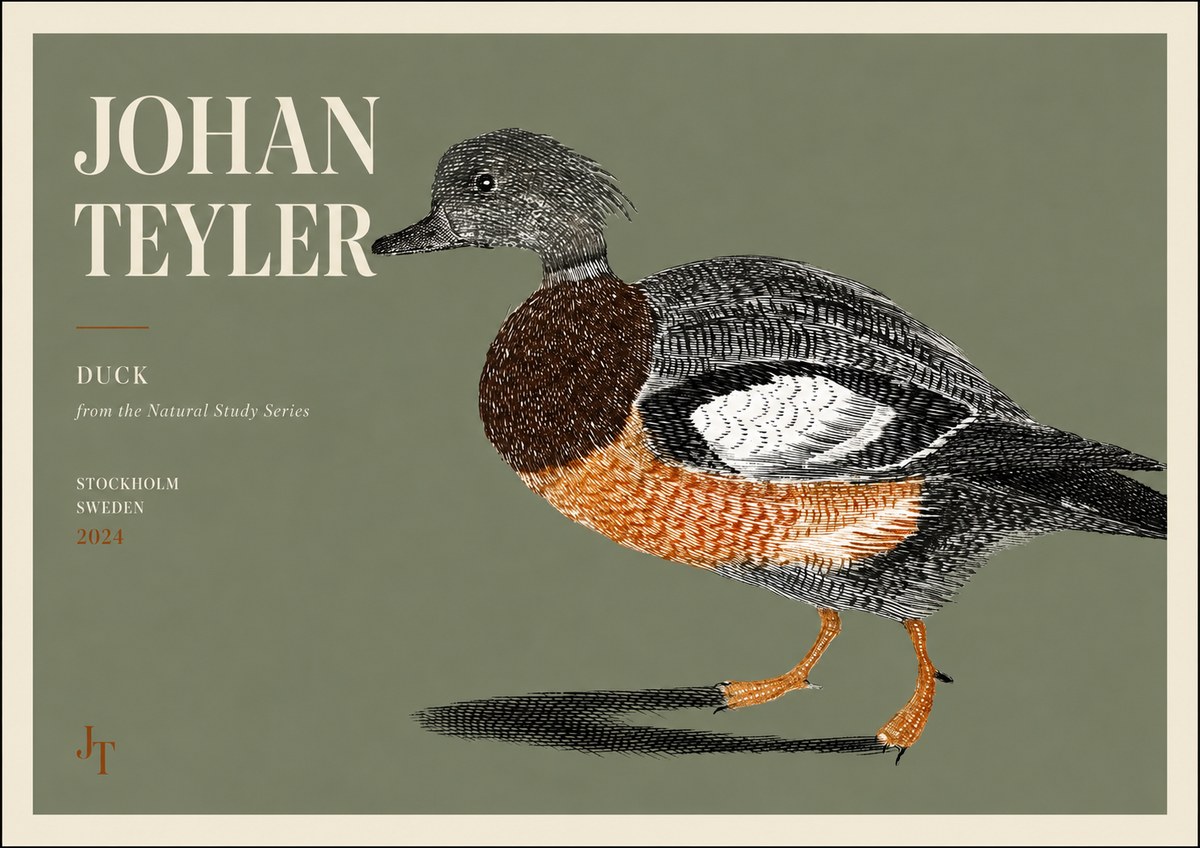 Johan Teyler Duck II No3 - Poszter