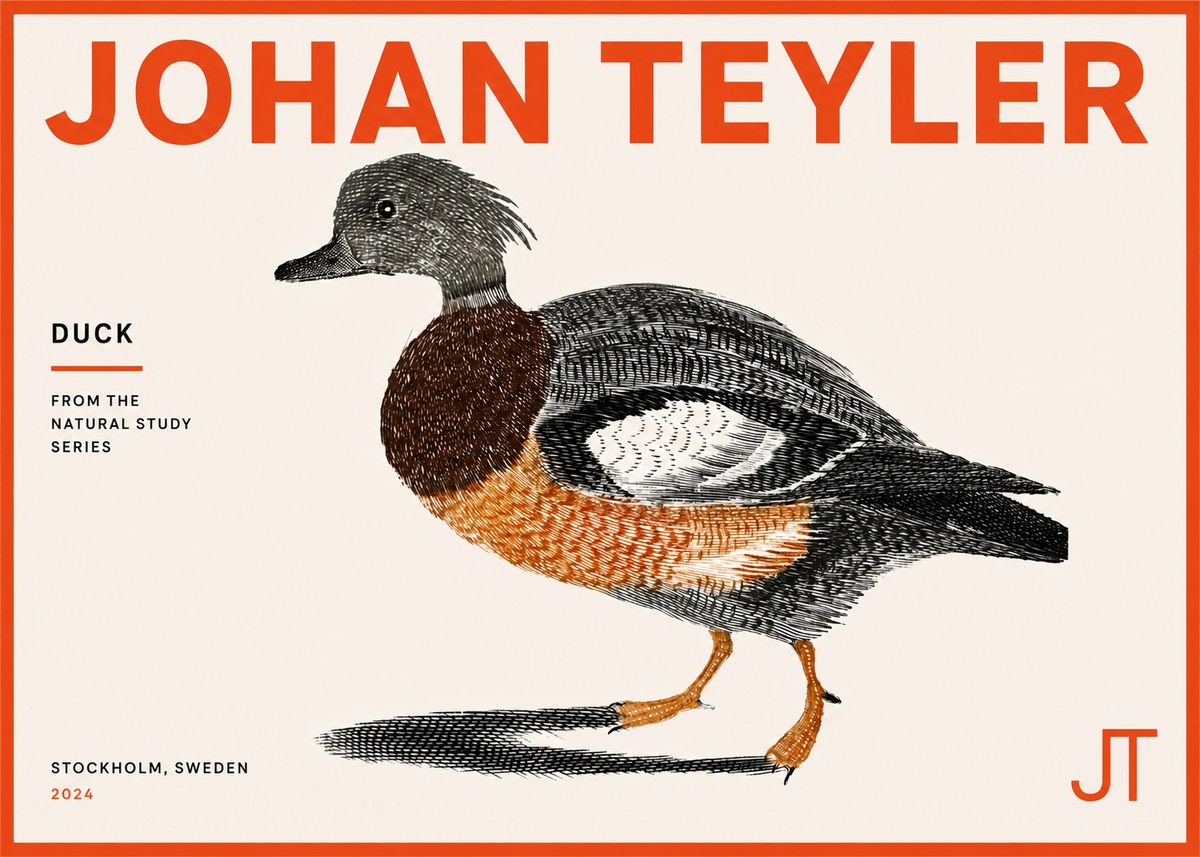 Johan Teyler Duck II No5 - Poszter