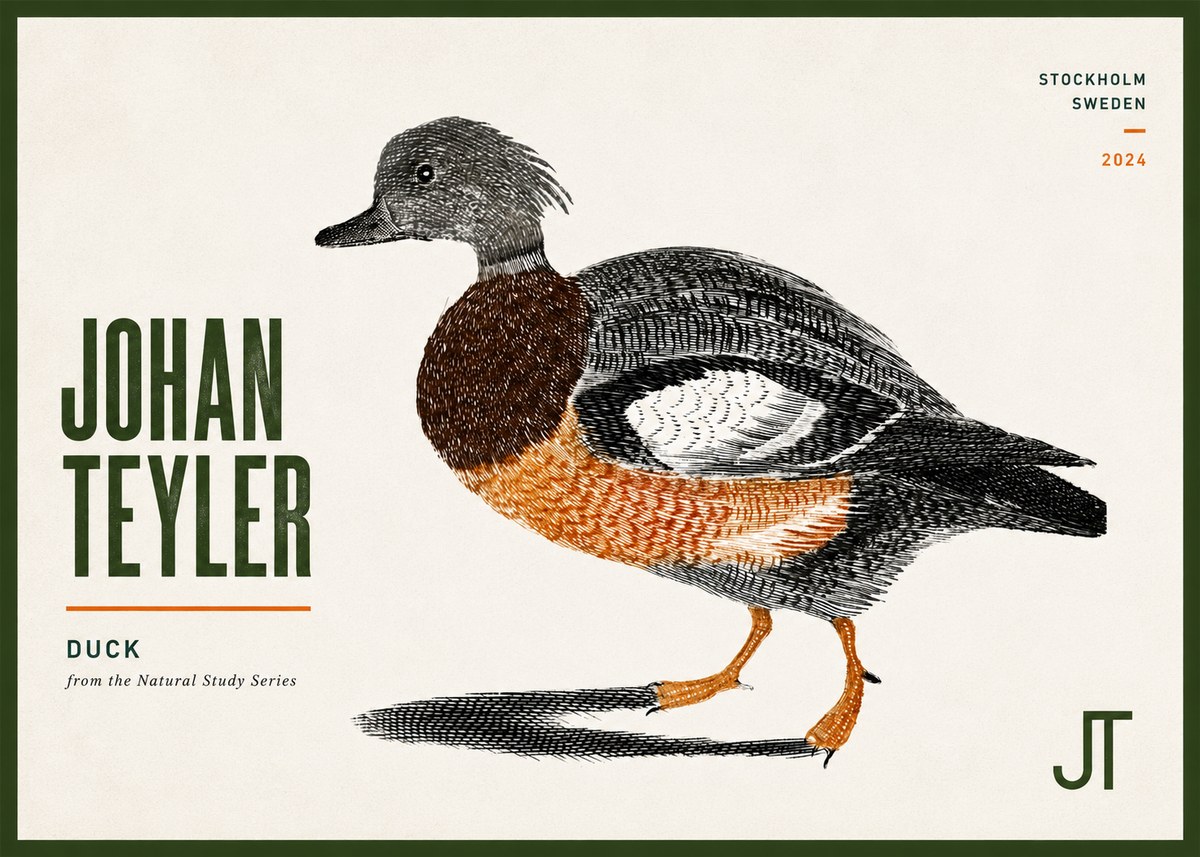 Johan Teyler Duck II No6 - Poszter