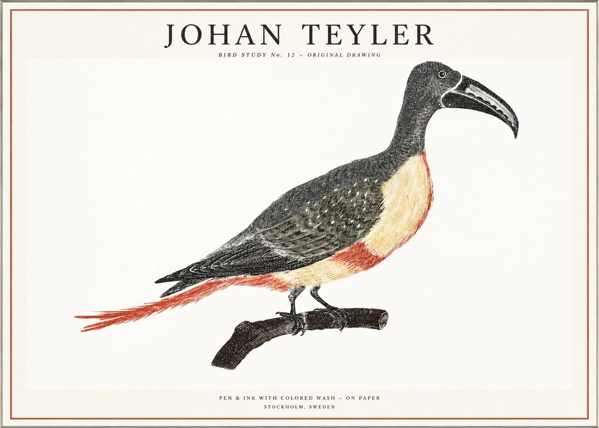 Johan Teyler Bird Study No. 12 - Original Drawing No1 - Poszter