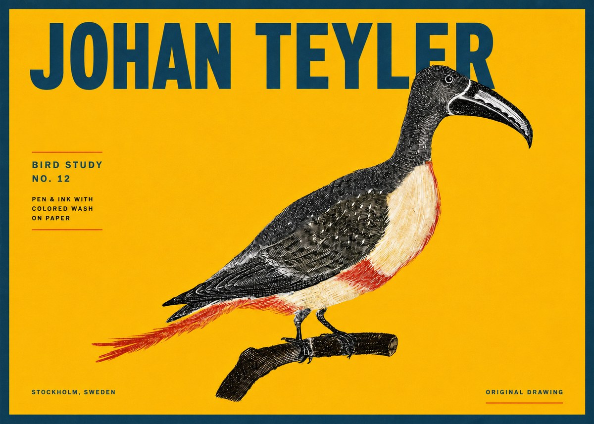Johan Teyler Bird Study No. 12 - Original Drawing No4 - Poszter