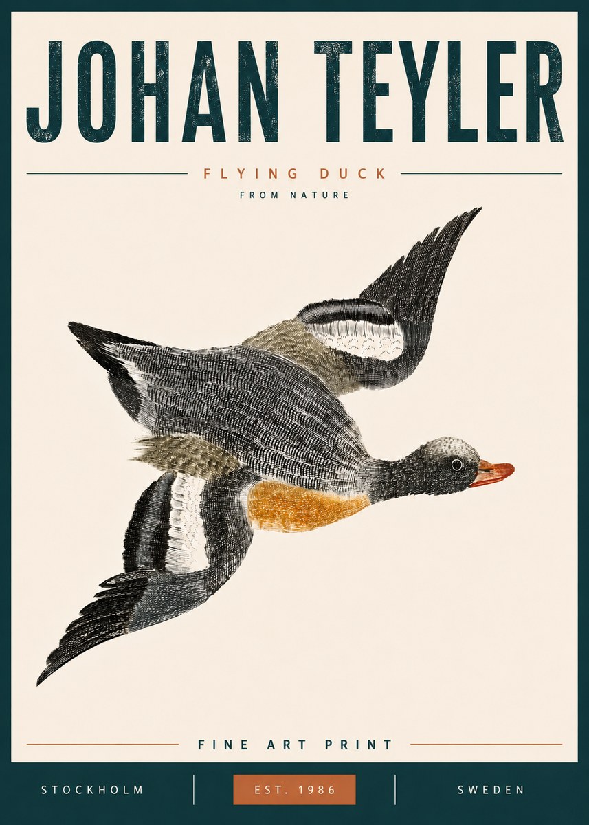 Johan Teyler Flying Duck No6 - Poszter