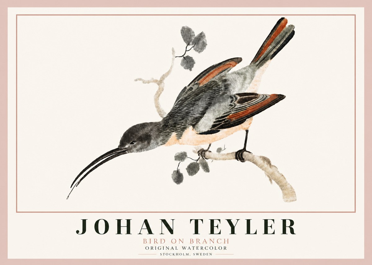 Johan Teyler Bird on Branch II No3 - Poszter