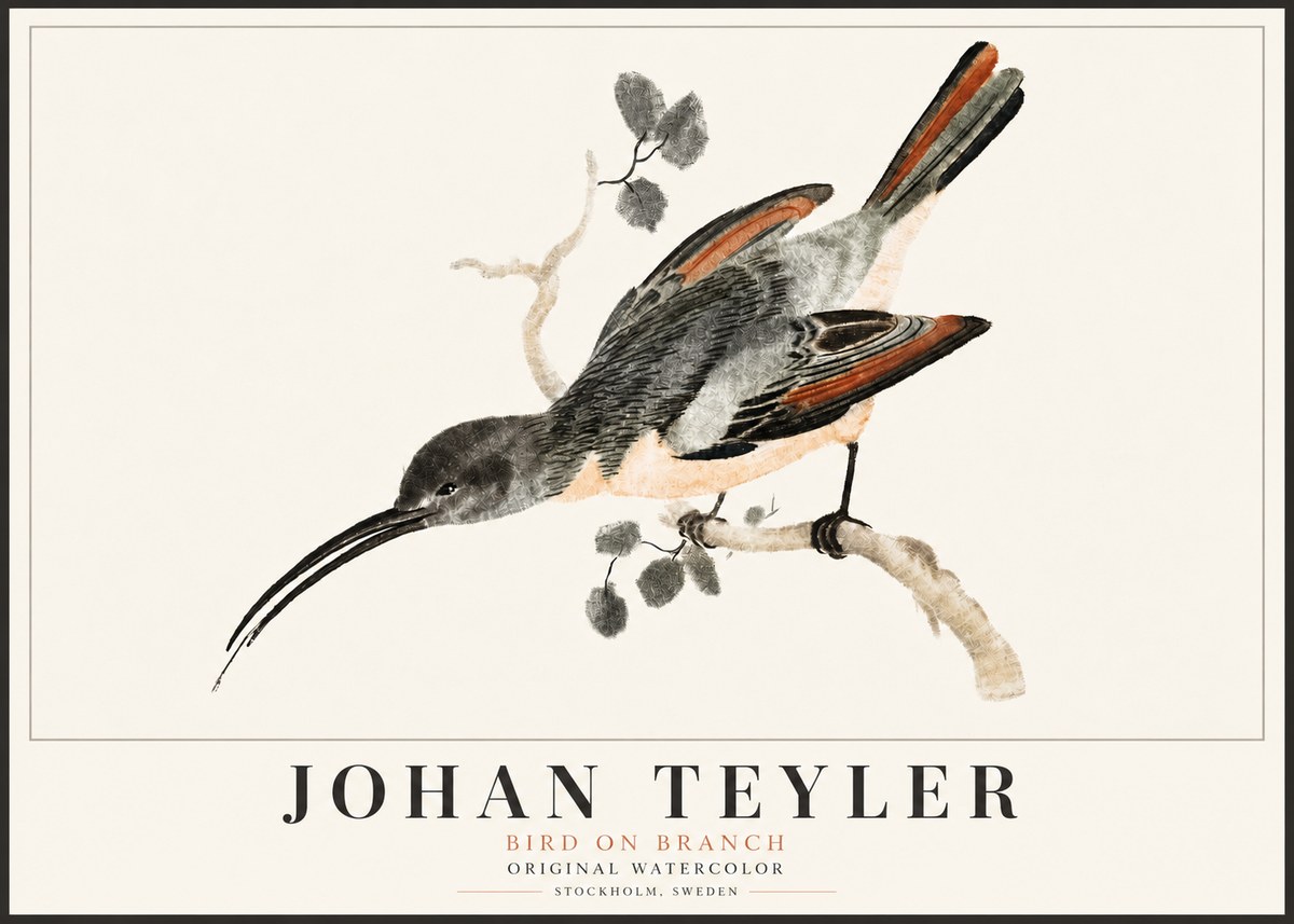 Johan Teyler Bird on Branch II No5 - Poszter