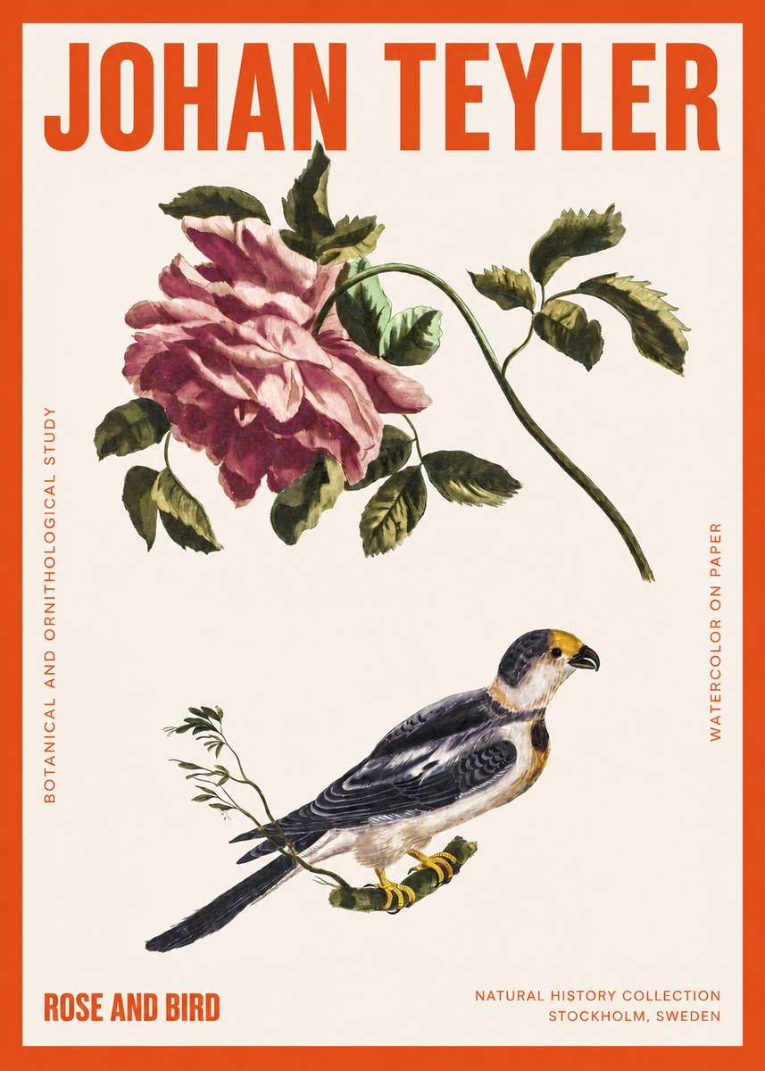 Johan Teyler Rose and Bird I No2 - Poszter
