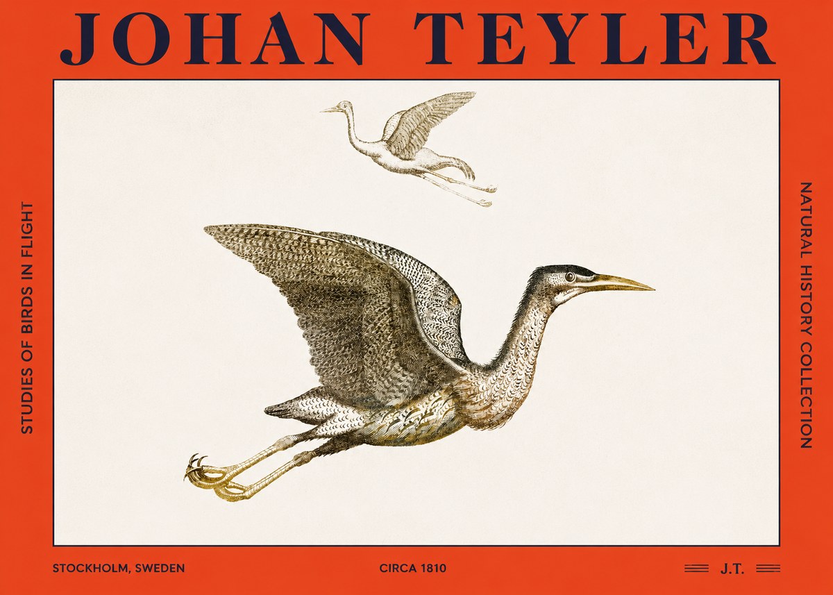 Johan Teyler Studies of Birds in Flight No2 - Poszter