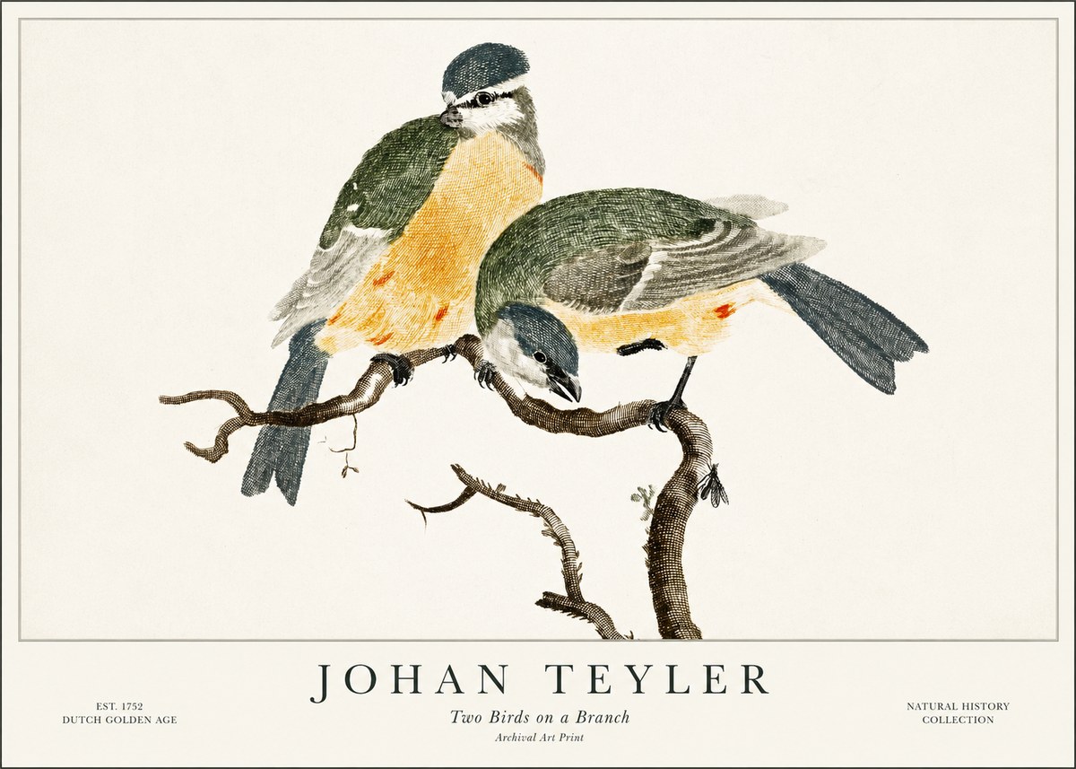 Johan Teyler Two Birds on a Branch No1 - Poszter
