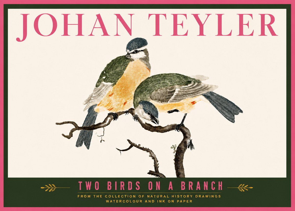 Johan Teyler Two Birds on a Branch No6 - Poszter