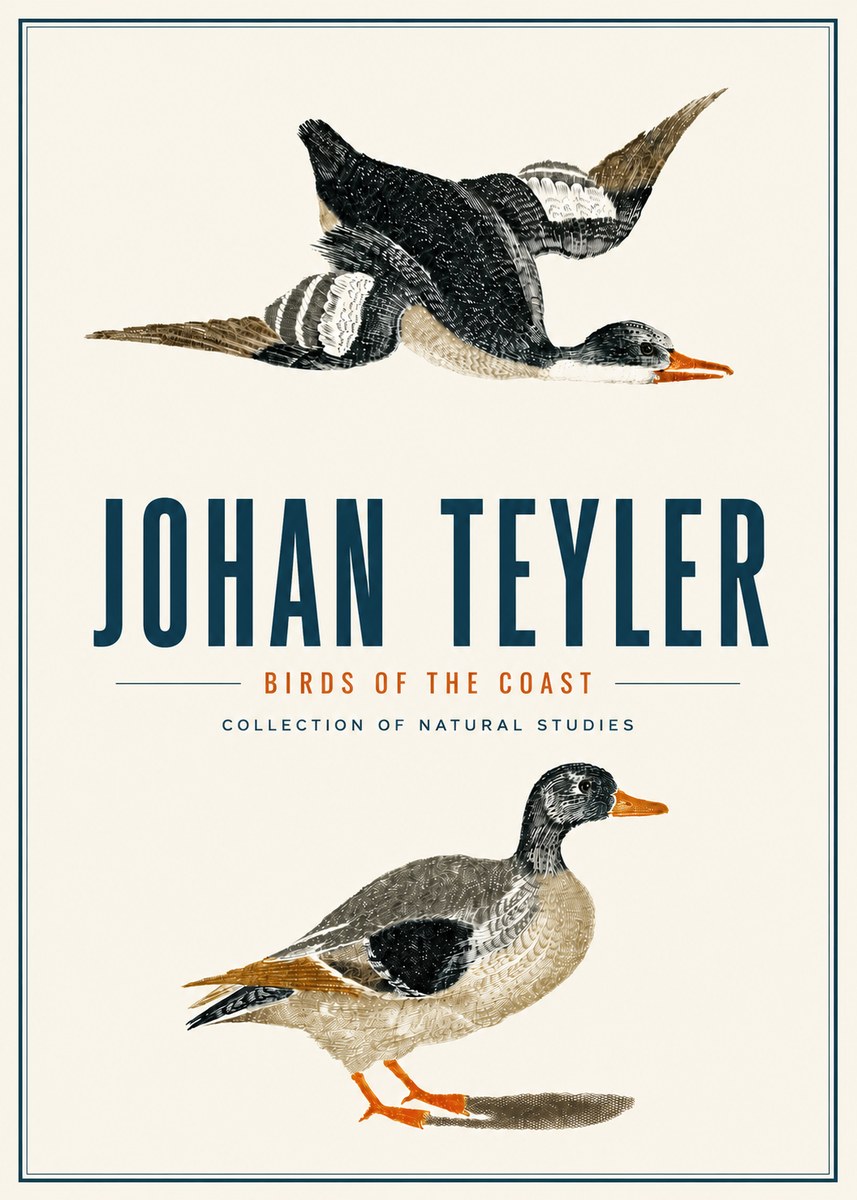 Johan Teyler Birds of the Coast No4 - Poszter