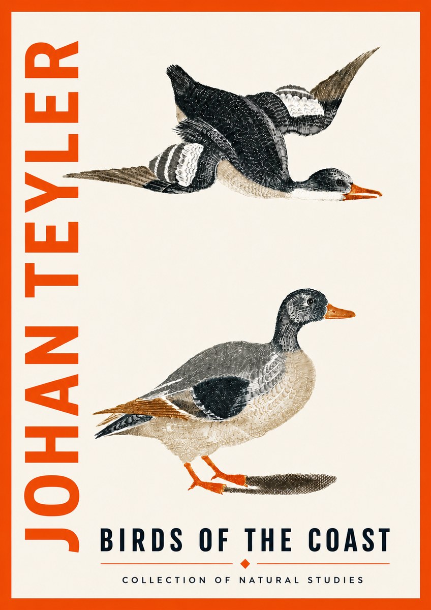Johan Teyler Birds of the Coast No5 - Poszter