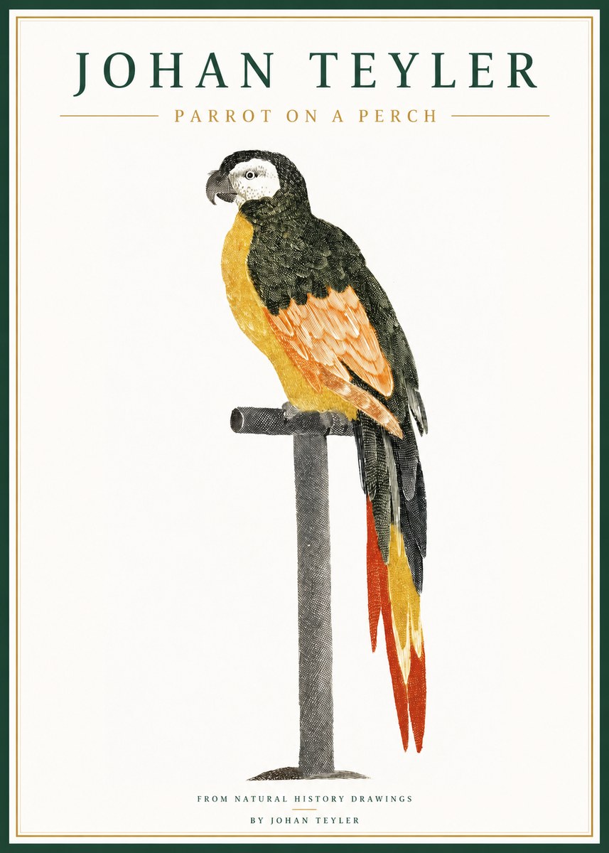 Johan Teyler Parrot on a Perch No1 - Poszter