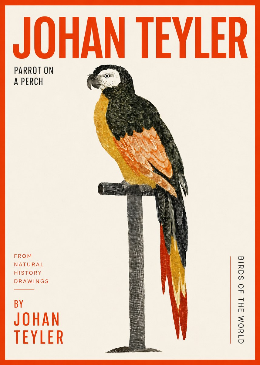Johan Teyler Parrot on a Perch No2 - Poszter