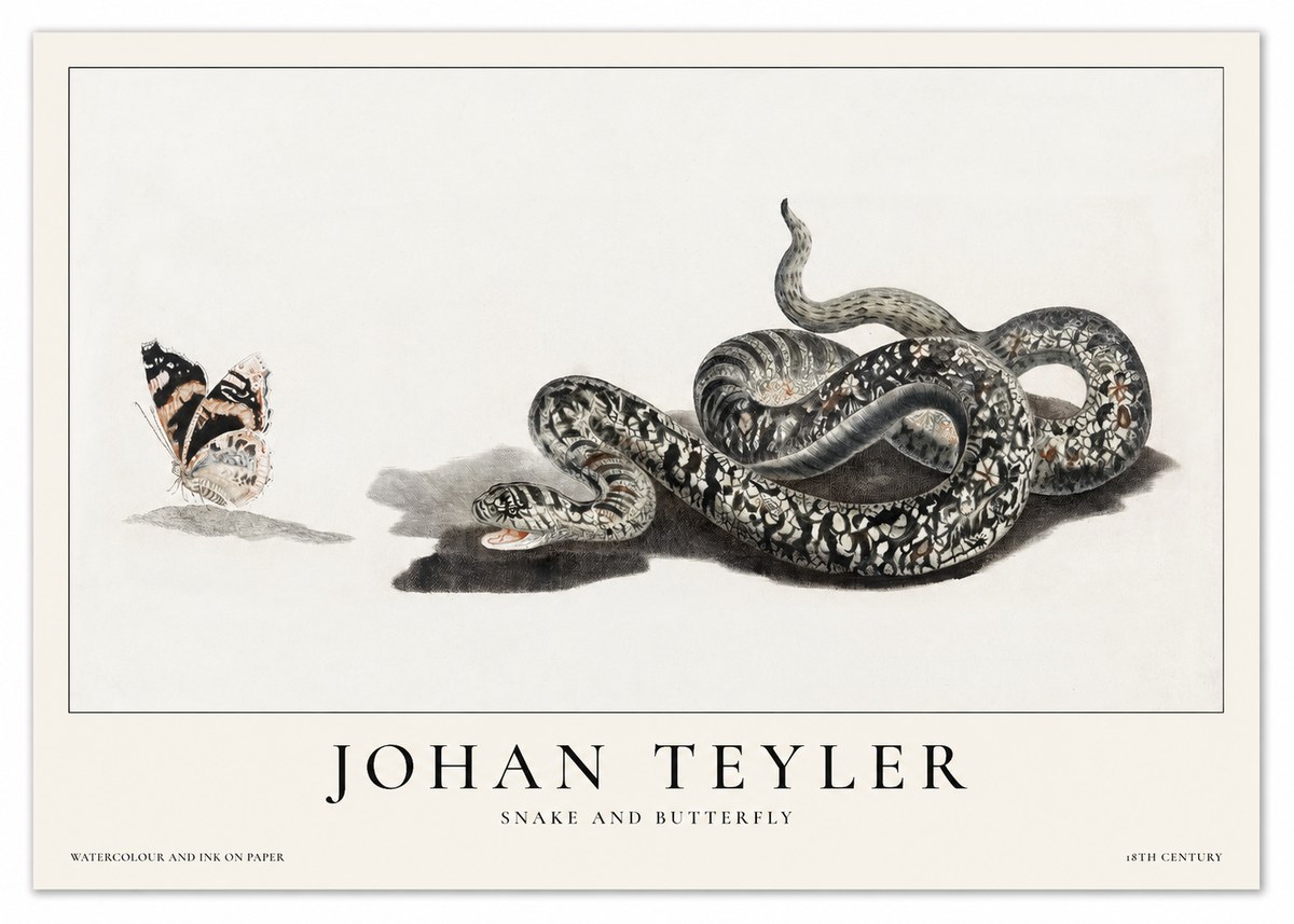 Johan Teyler Snake and Butterfly No1 - Poszter