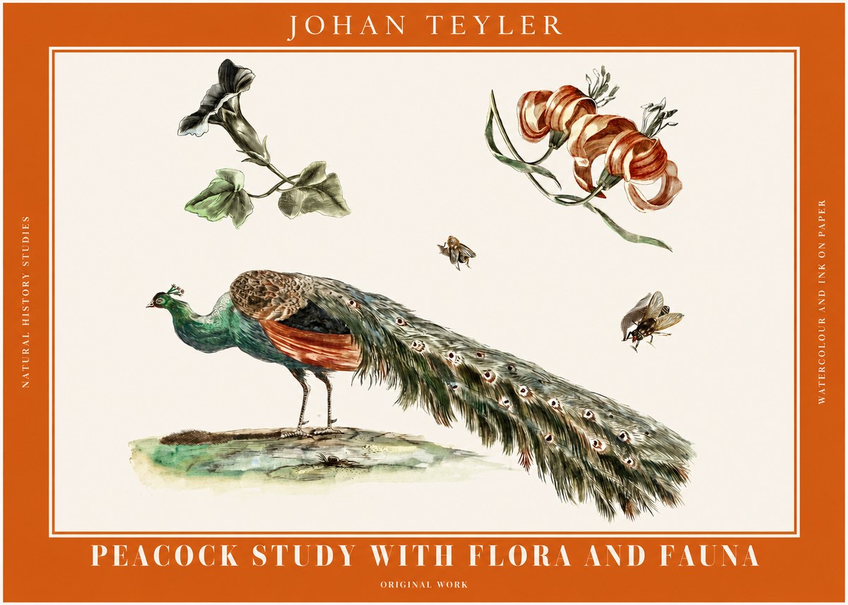 Johan Teyler Peacock Study with Flora and Fauna No2 - Poszter