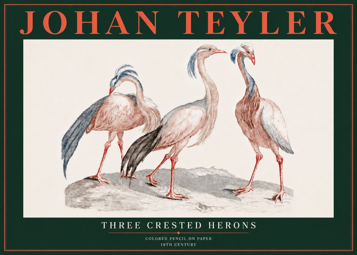 Johan Teyler Three Crested Herons No5 - Poszter