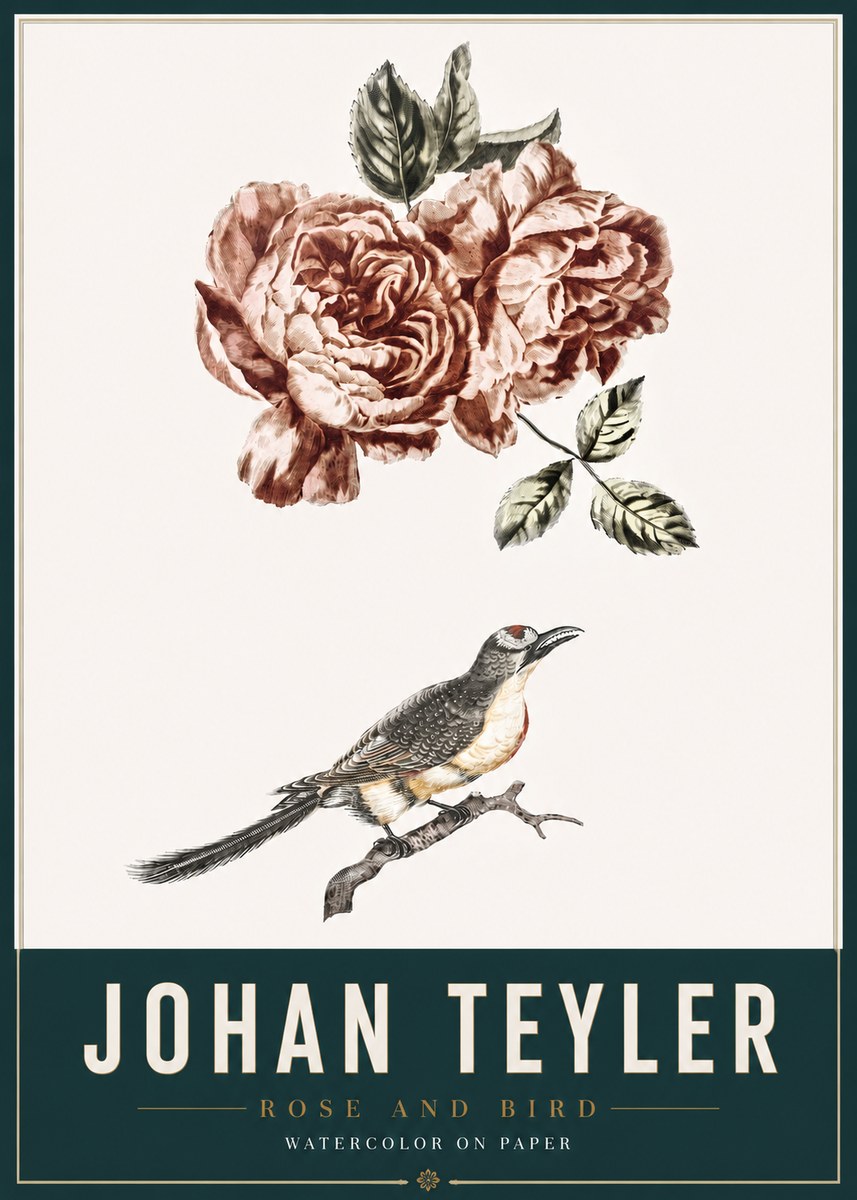 Johan Teyler Rose and Bird II No3 - Poszter