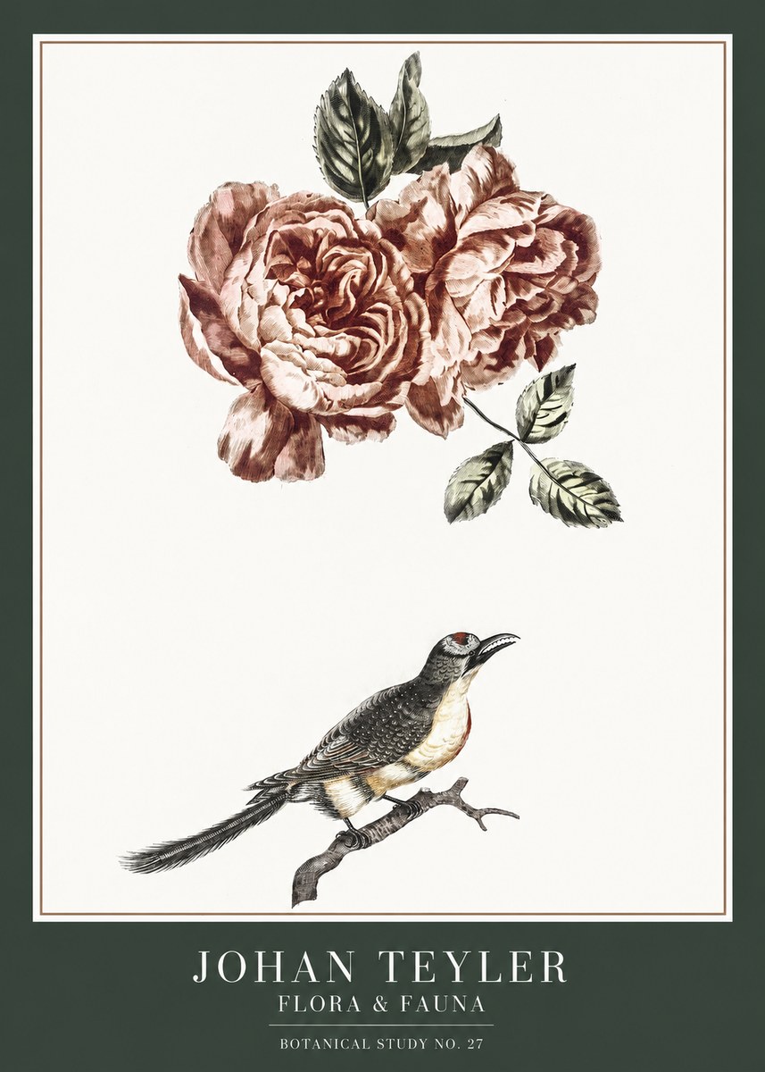 Johan Teyler Rose and Bird II No6 - Poszter