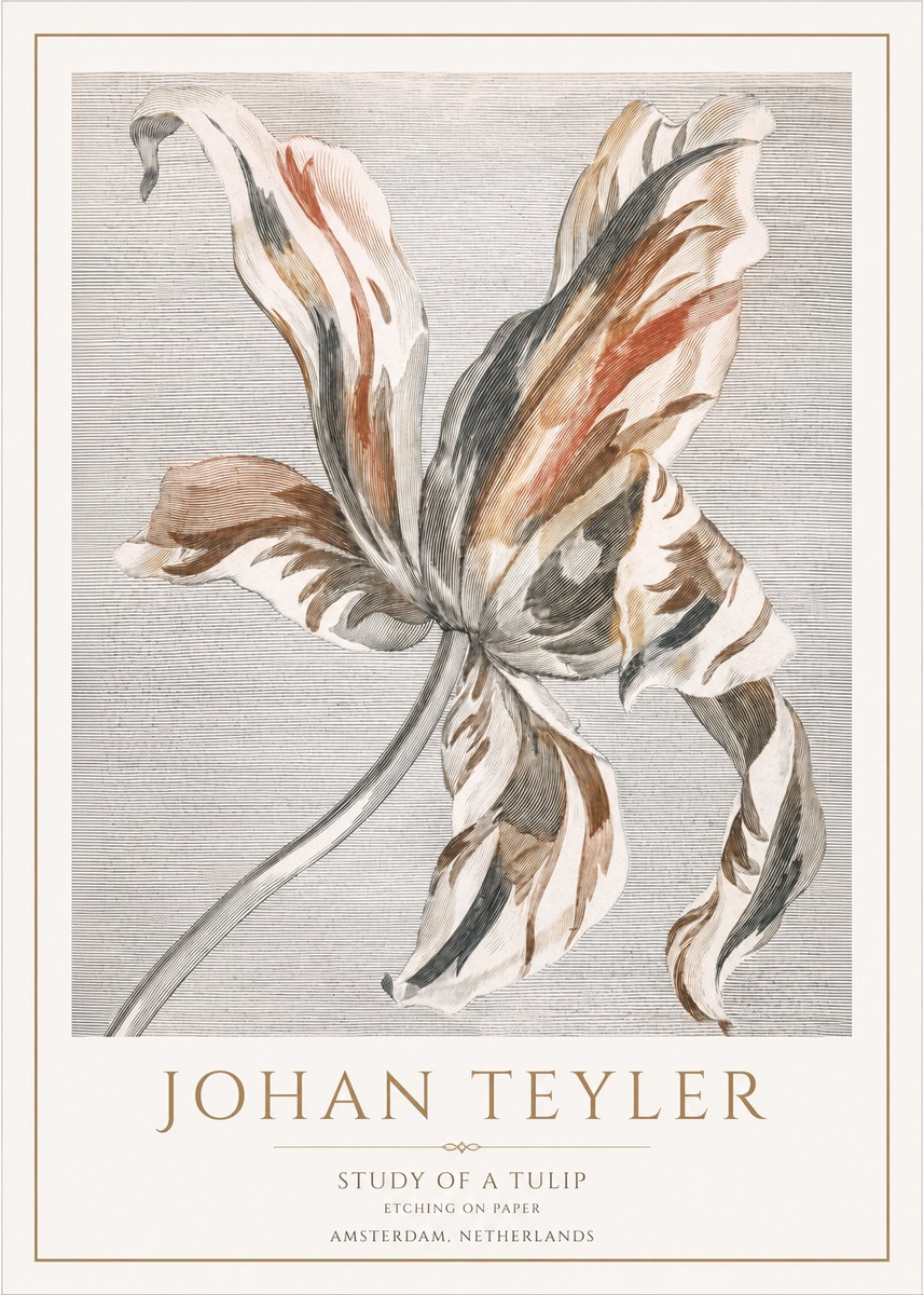 Johan Teyler Study of a Tulip No1 - Poszter