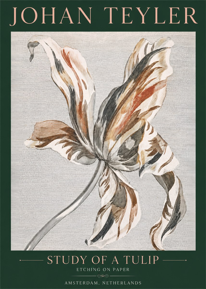 Johan Teyler Study of a Tulip No4 - Poszter