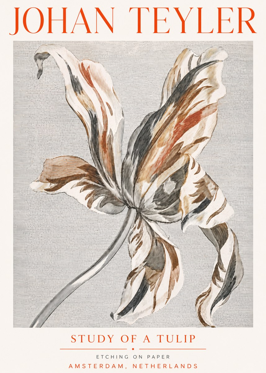 Johan Teyler Study of a Tulip No5 - Poszter
