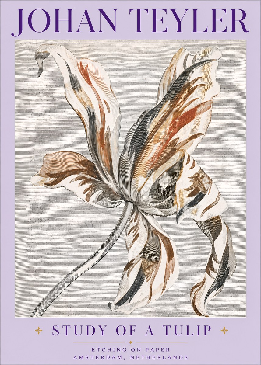 Johan Teyler Study of a Tulip No6 - Poszter