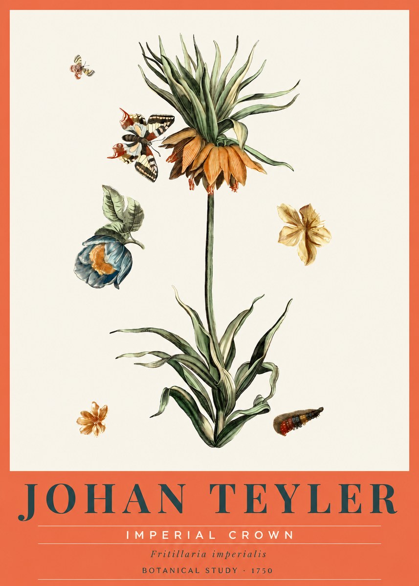 Johan Teyler Crown Imperial No3 - Poszter