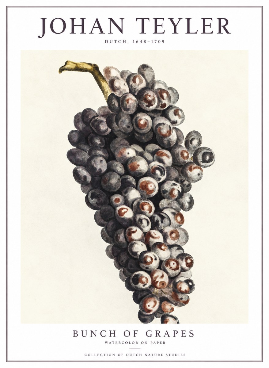 Johan Teyler Bunch of Grapes No1 - Poszter
