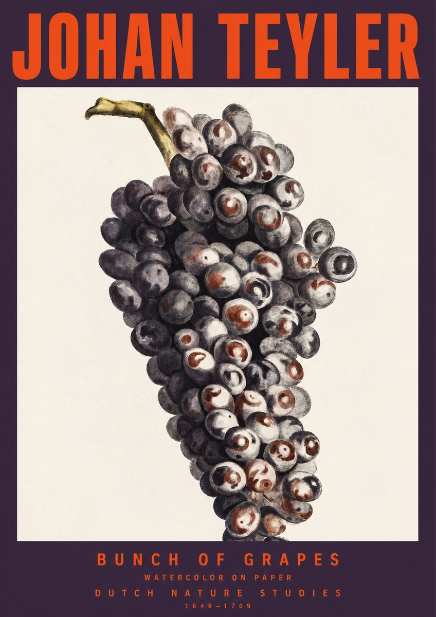 Johan Teyler Bunch of Grapes No2 - Poszter
