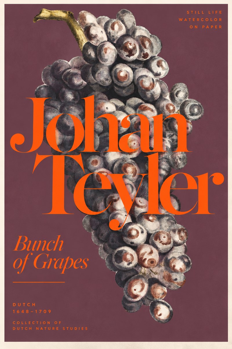 Johan Teyler Bunch of Grapes No3 - Poszter