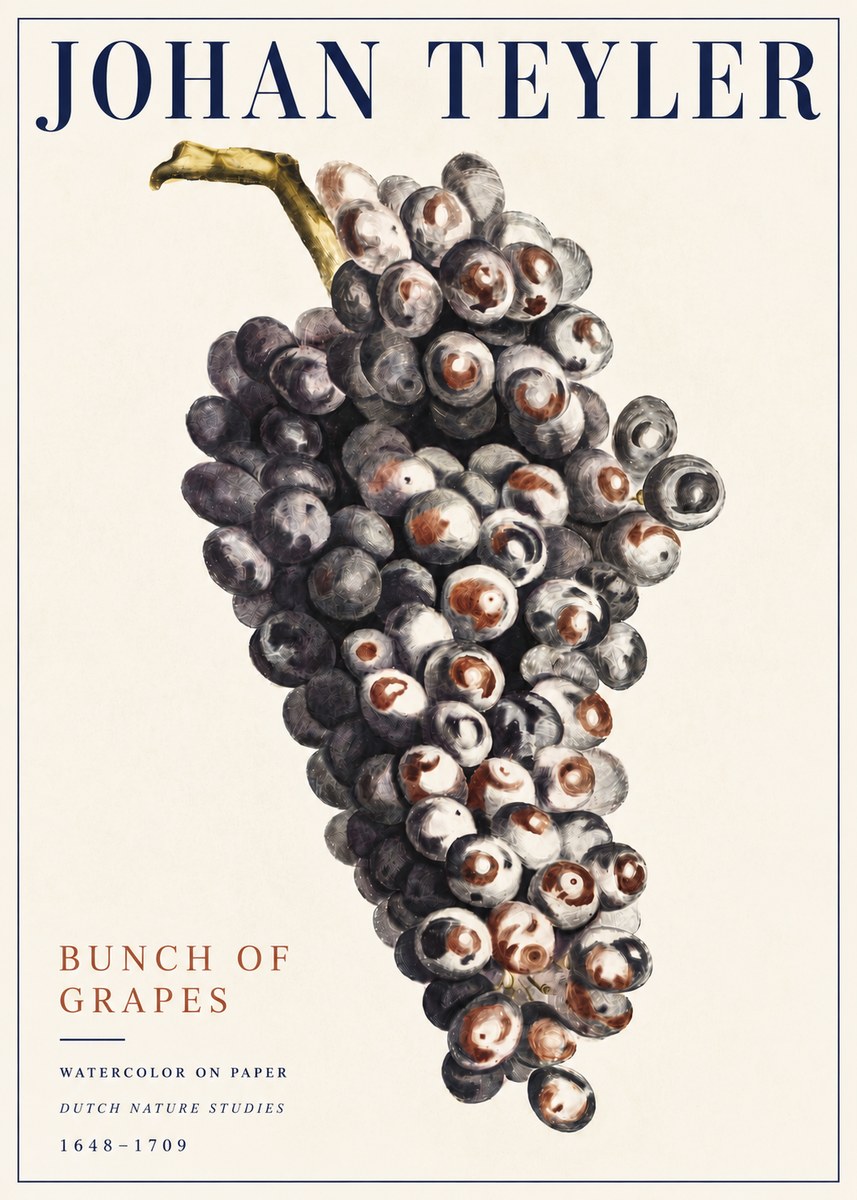 Johan Teyler Bunch of Grapes No5 - Poszter