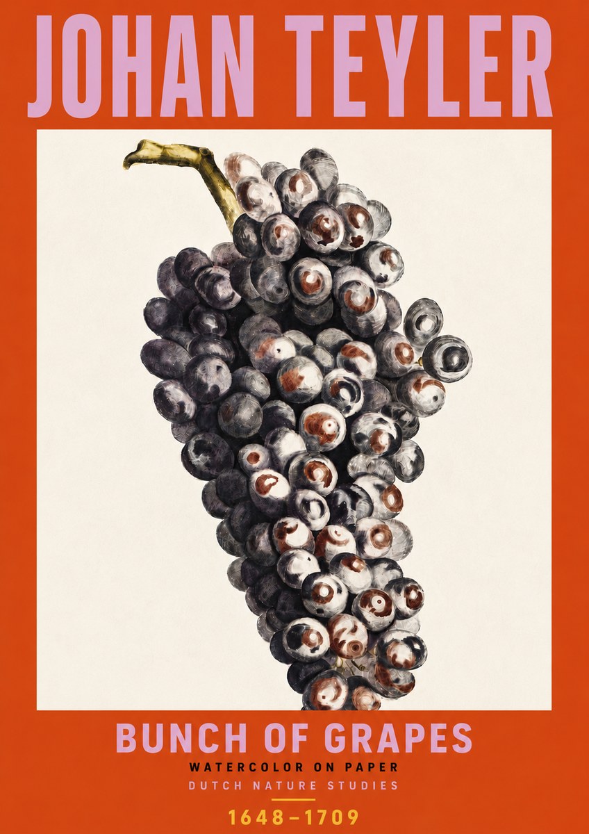 Johan Teyler Bunch of Grapes No6 - Poszter