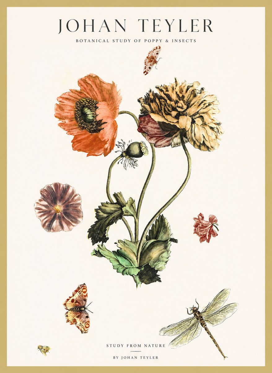 Johan Teyler Botanical Study of Poppy & Insects No1 - Poszter