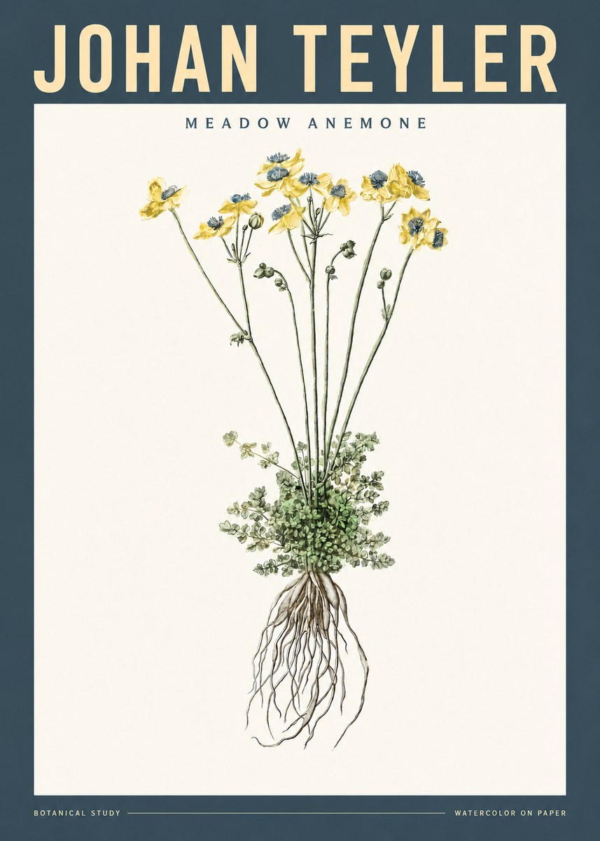 Johan Teyler Meadow Anemone No2 - Poszter
