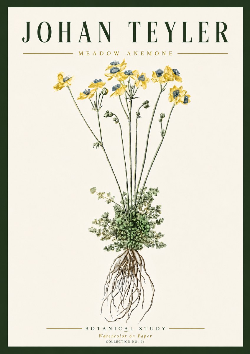 Johan Teyler Meadow Anemone No6 - Poszter