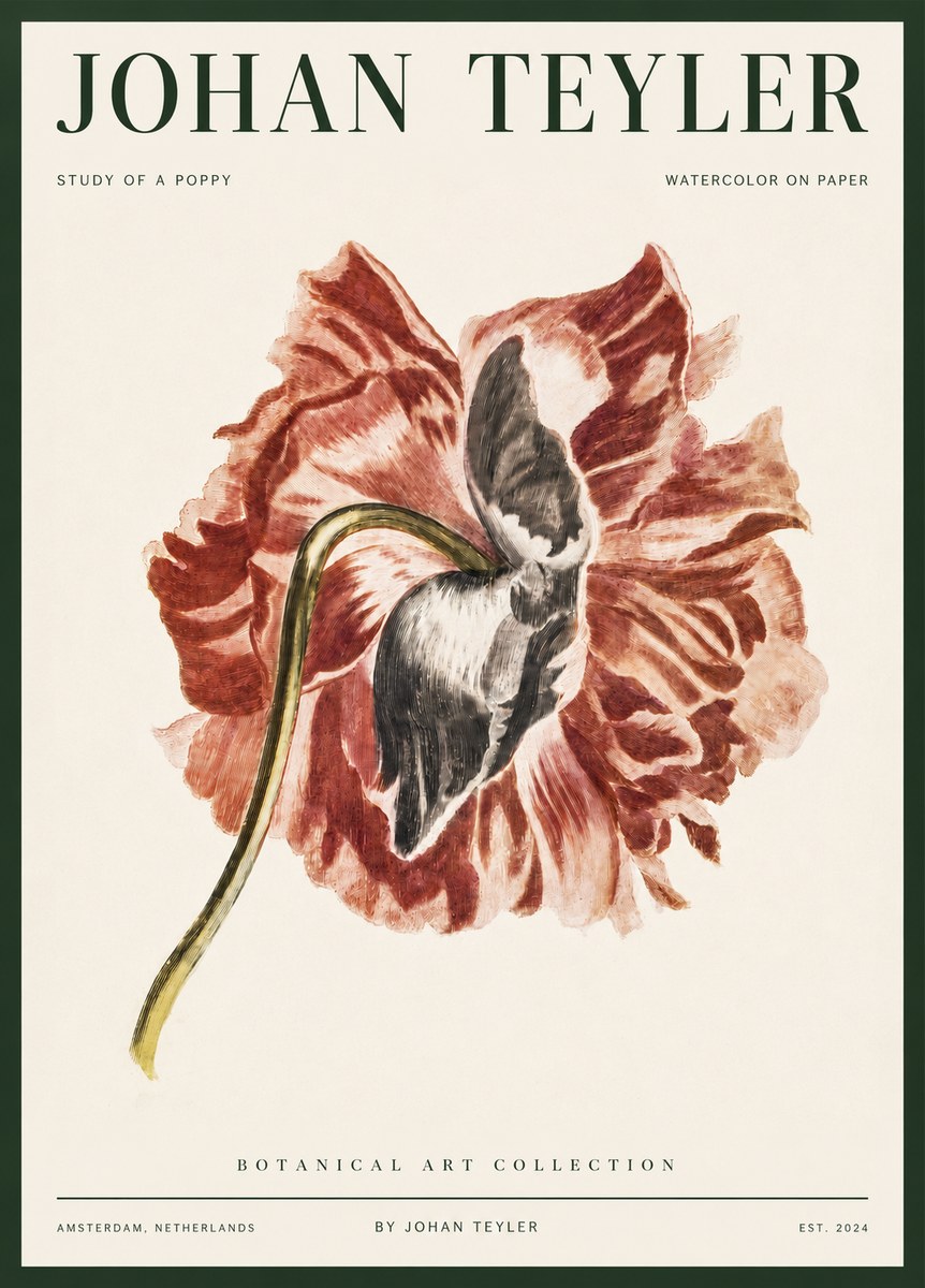 Johan Teyler Study of a Poppy No3 - Poszter