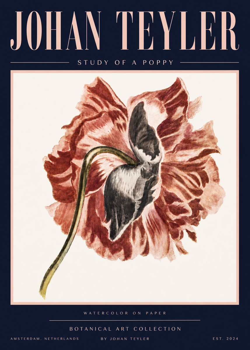Johan Teyler Study of a Poppy No4 - Poszter