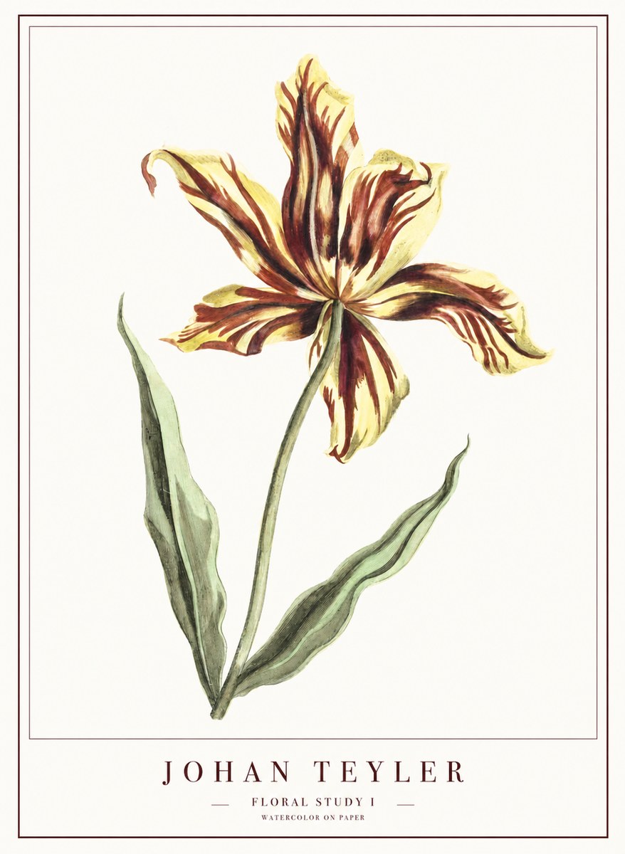 Johan Teyler Floral Study I No1 - Poszter