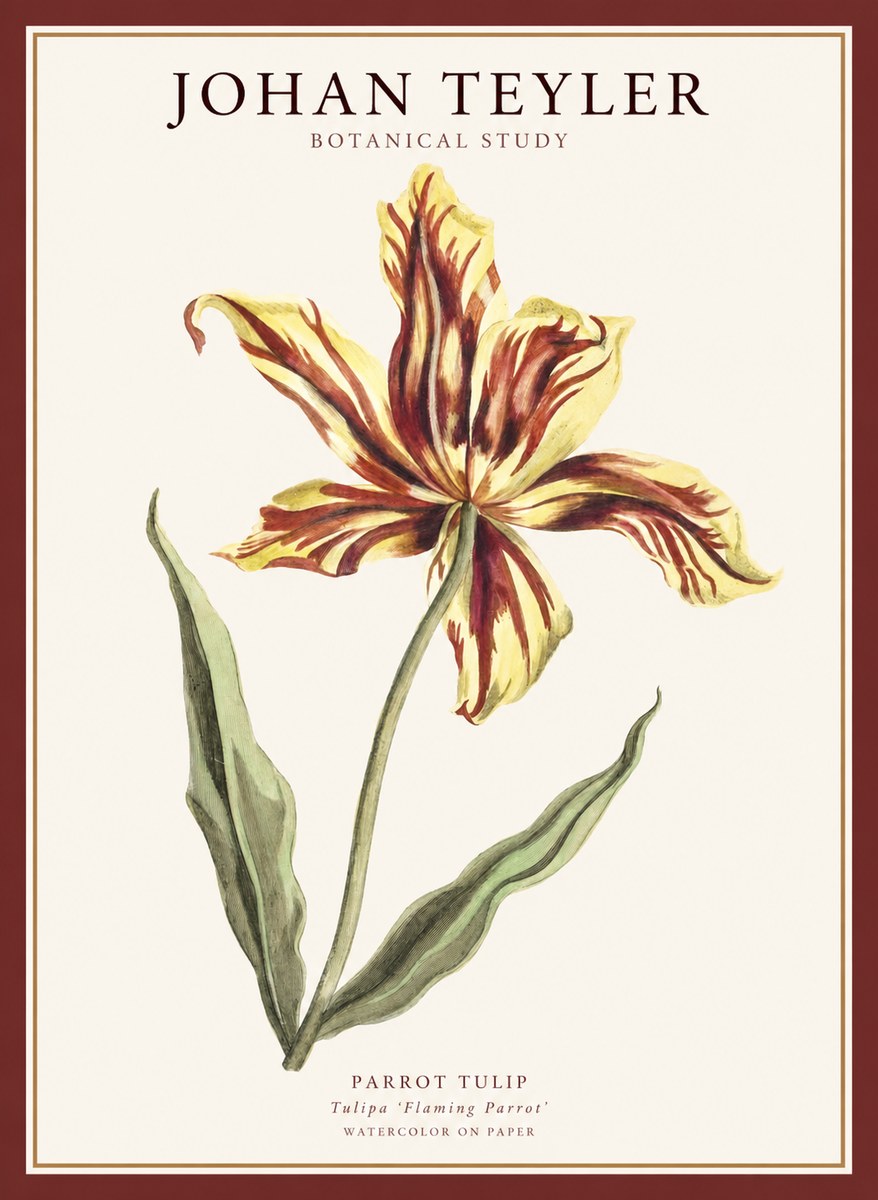 Johan Teyler Floral Study I No5 - Poszter
