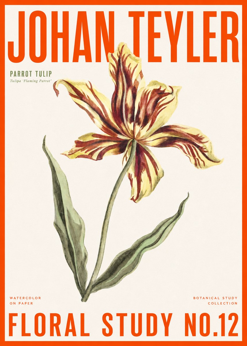 Johan Teyler Floral Study I No6 - Poszter
