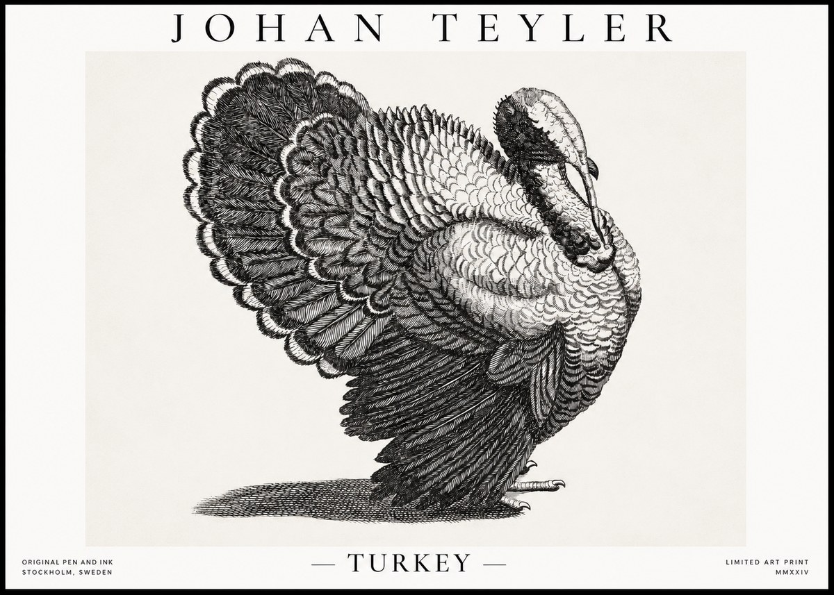 Johan Teyler Turkey No1 - Poszter