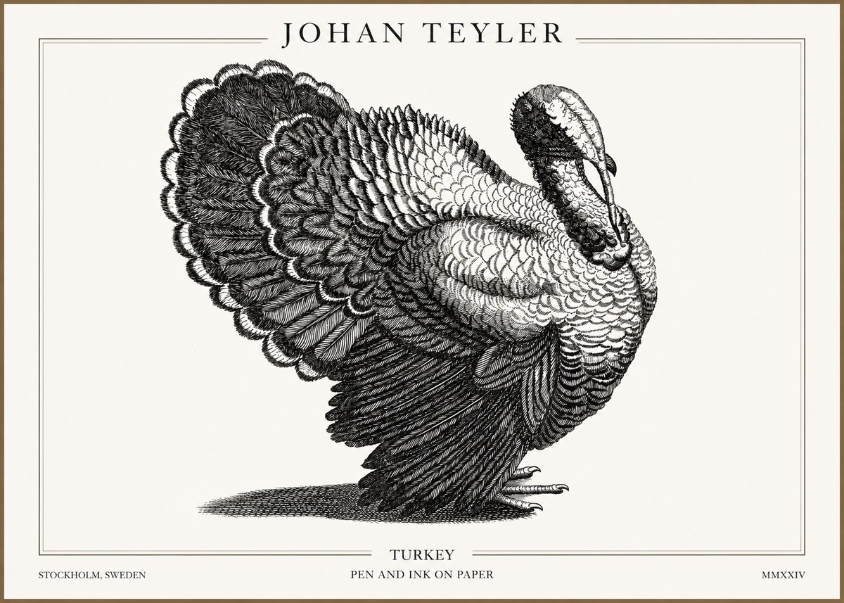 Johan Teyler Turkey No2 - Poszter