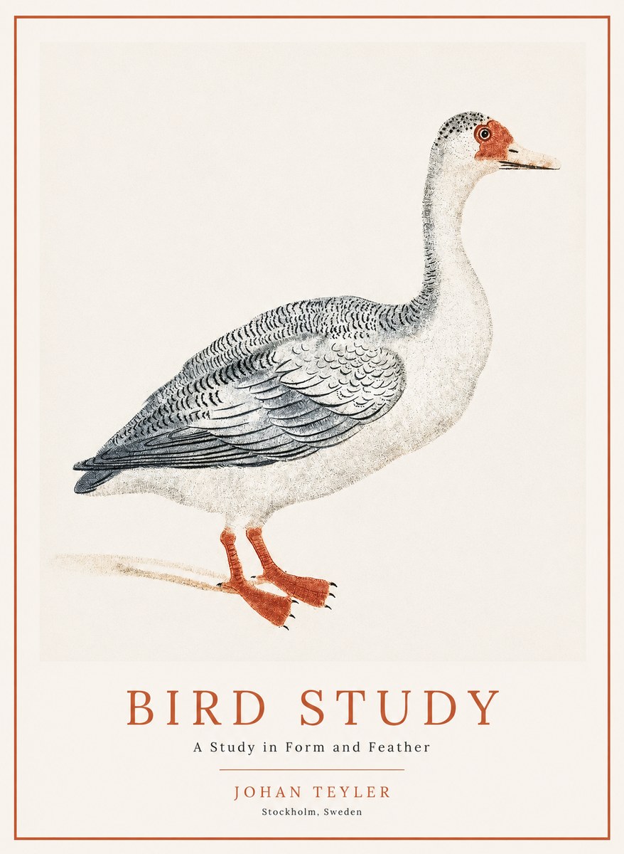 Johan Teyler Goose Study No2 - Poszter