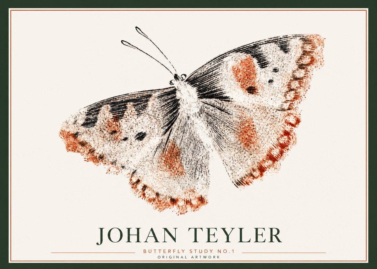 Johan Teyler Butterfly Study No.1 No3 - Poszter
