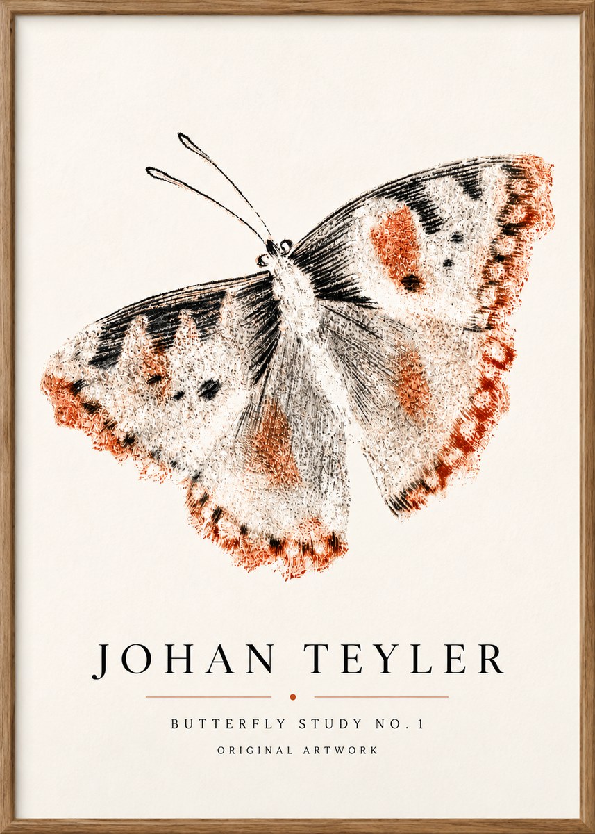 Johan Teyler Butterfly Study No.1 No5 - Poszter