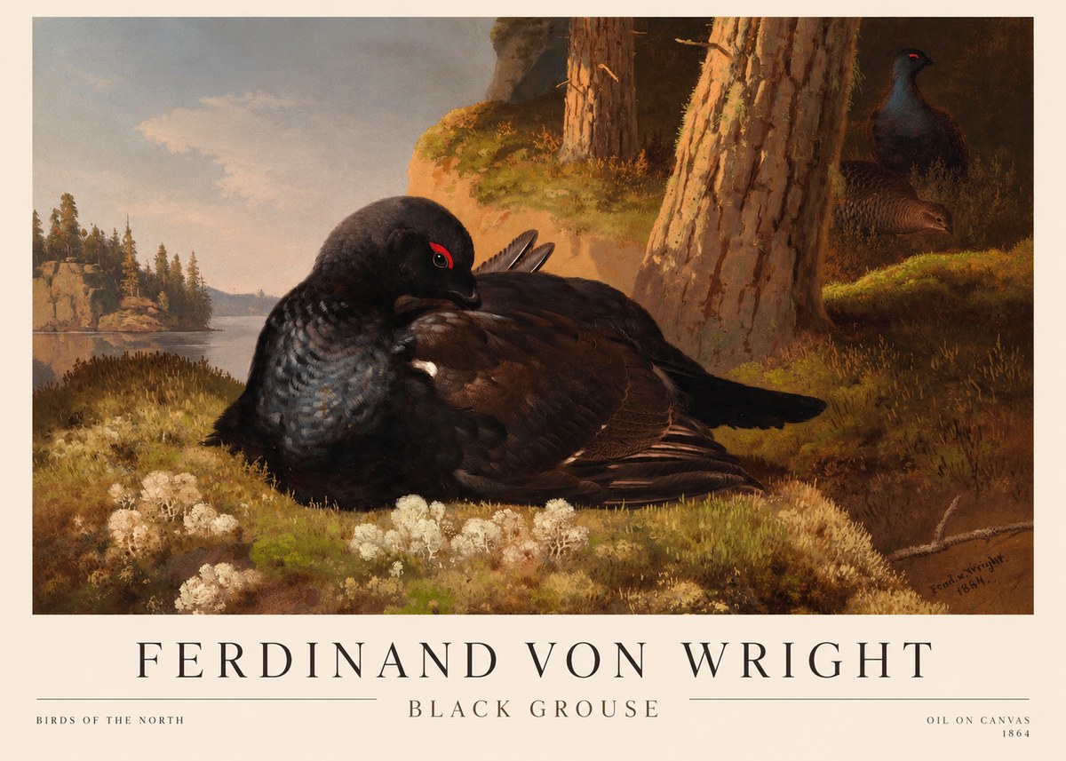 Ferdinand von Wright The Black Grouse No3 - Poszter